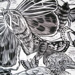 Moths (Too Much)