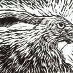 Wallace Steven's Rabbit as King of the Ghosts