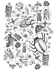FreeColoringPage3A_BW bugs
