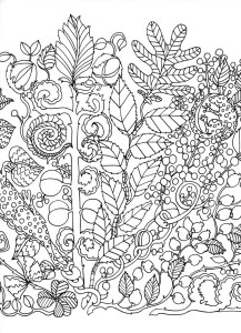 Free_coloringpage_2_300