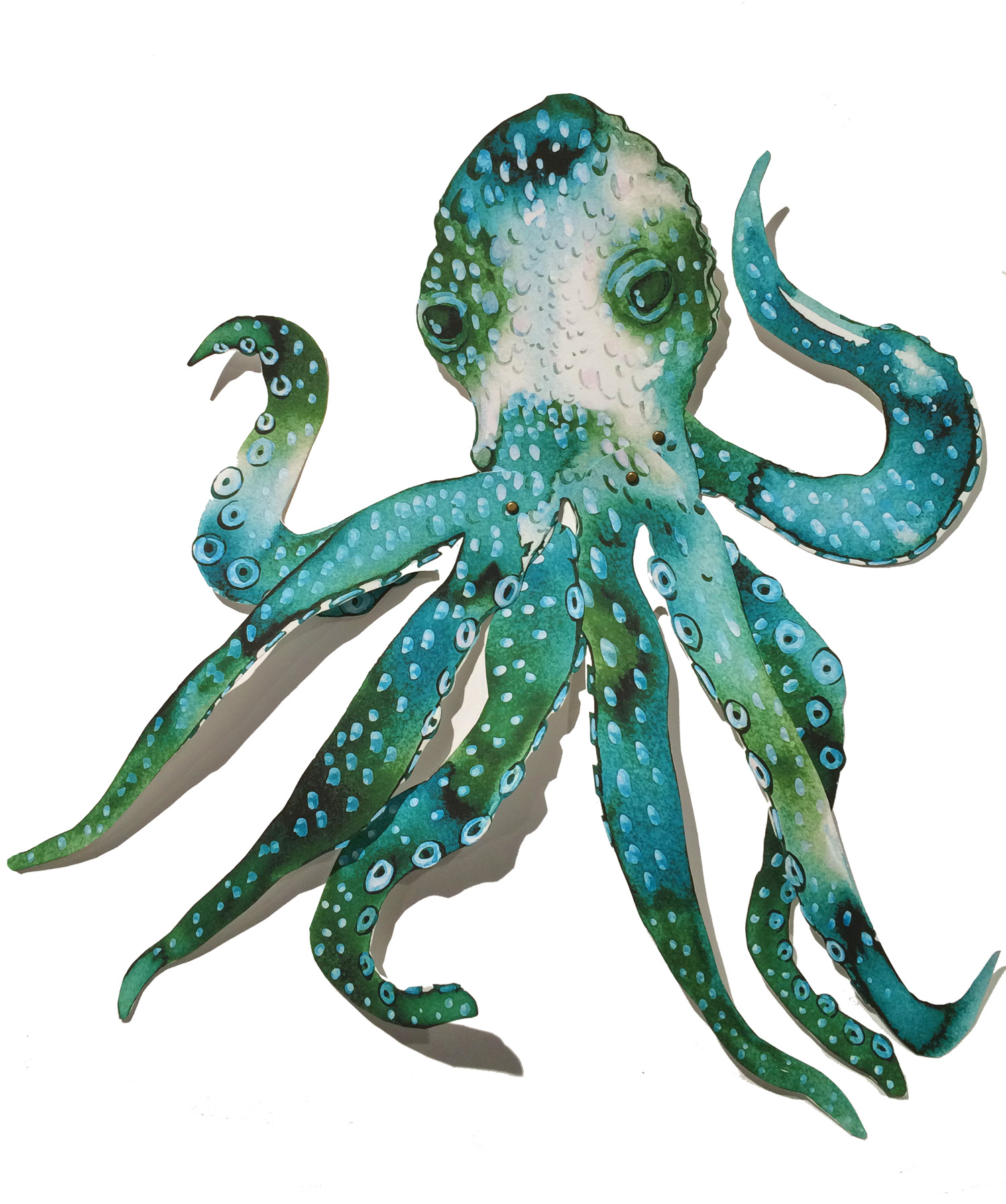 WKSHP_2_Octopus_150