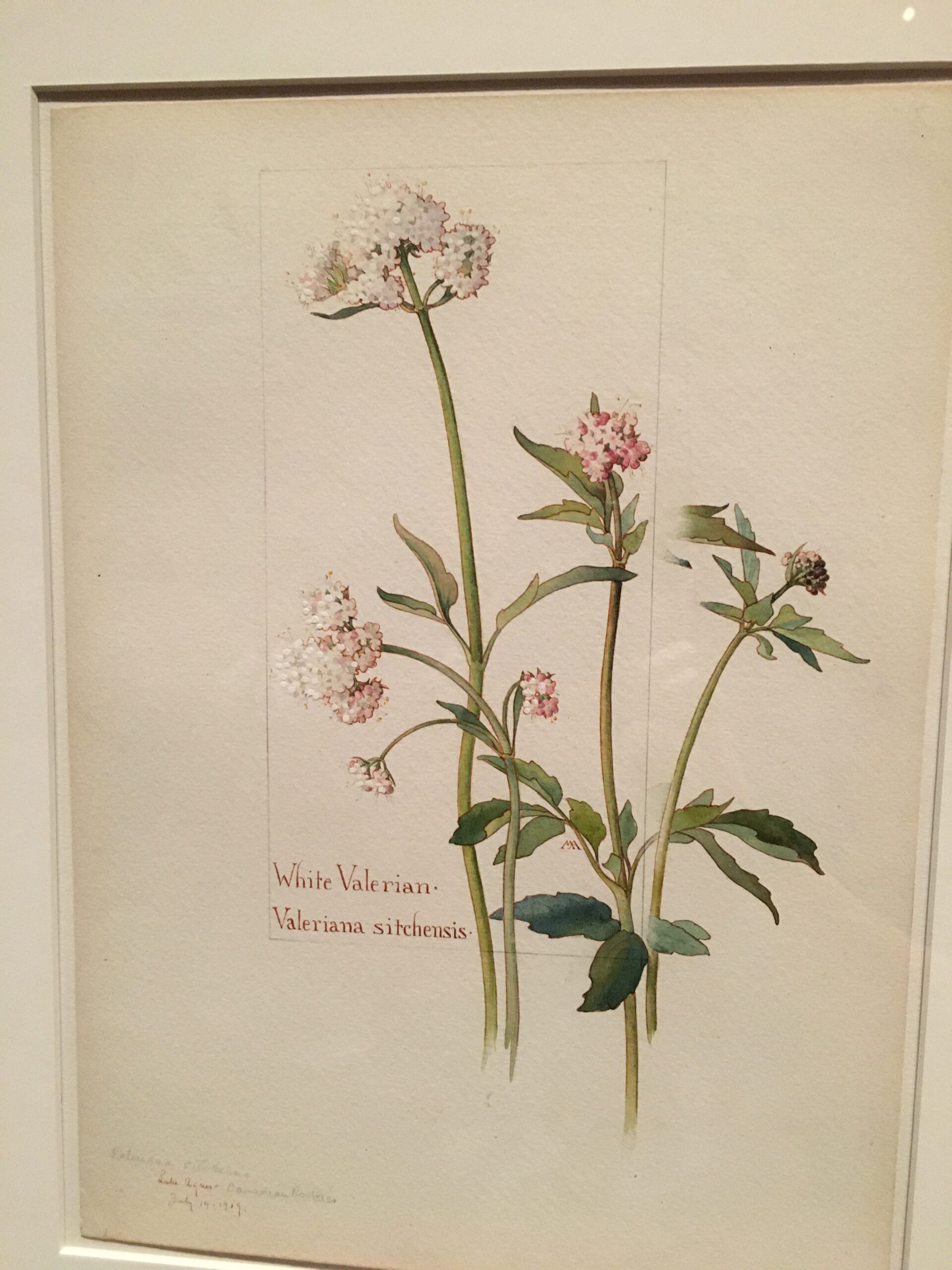 Binding and decorations by Margaret Neilson Armstrong